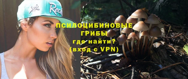 трава Нефтекумск